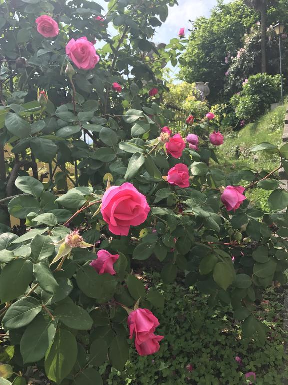 贝尔吉拉泰La Ciliegia Bianca住宿加早餐旅馆 外观 照片