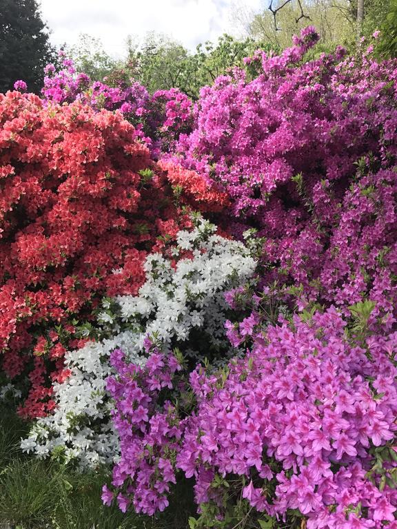 贝尔吉拉泰La Ciliegia Bianca住宿加早餐旅馆 外观 照片