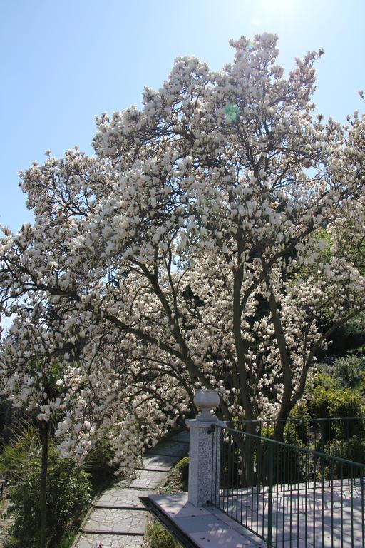 贝尔吉拉泰La Ciliegia Bianca住宿加早餐旅馆 外观 照片